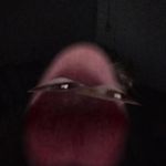 Alex Tonkin - @alex.tonkin.754 - Instagram