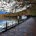 Alex Triantafyllou - Facebook