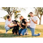 alexander troughton - @alex_troughton128 - Instagram