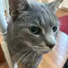 Alex🍄 - @alex.tucci4 - TikTok