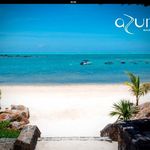 Alex Tucci - @azuriceladon22 - Instagram