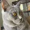 Alex - @alex.turk03 - TikTok
