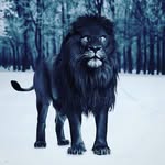 alex turk - @alexturk63 - Instagram