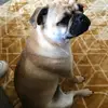 user7533155396534 - @alexturko1 - TikTok