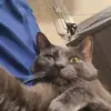 Alex - @alexstyers6 - TikTok