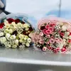 tyner_alex - @tyner_alex4 - TikTok