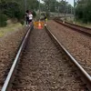 Alex Tyrrell - @alextyrrell1 - TikTok