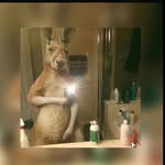 Alex Urbina - @alex_urbina02 - Instagram