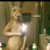 alex Valerio - @alexvalerio310 - TikTok