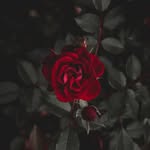 Alex Vance - @vance.83alex - Instagram