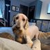 Alex Van Horn - Facebook