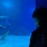 Alex VanNess-Syharath - @a.vansyh - Instagram