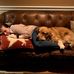 Alex Varner - Facebook