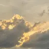 Alex - @alexeverdin - TikTok