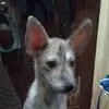 Alex Viray - @alex.viray4 - TikTok