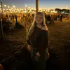 alex - @alex..waller - TikTok