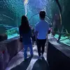 Alex - @alexwallskog - TikTok