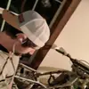 Alex Walls - @alex.walls39 - TikTok