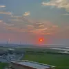 Alexis Wardell - @alexiswardell - TikTok