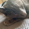 Alex waterman - @alex.waterman - TikTok