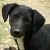 Alex Weckerle - @alex.weckerle - TikTok