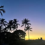 Alex Weil - @alex_weil22 - Instagram