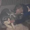 Alexander Weil - @alexander.weil - TikTok