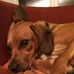 Alex Wessel - Facebook