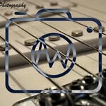 Alex Wessels - @alex.wessels.music.photography - Instagram