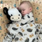Alex Whitmore - @shittywhitty96 - Instagram