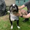 Alex Wilde - @al.wilde5 - TikTok