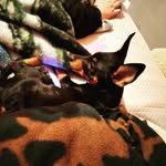 Alexander Winchell - @alexanderwinchell - Instagram