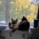 alex winchester - @raisingember.alpine.andzoe - Instagram