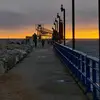 Alex Winchester - @maybeitjustsucks - TikTok