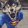 Alex Woolf - @alexwoolf0 - TikTok
