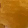 n - @alexworrell960 - TikTok