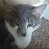 Alex_wright - @alex_wright - TikTok
