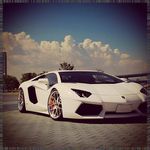 Alex Wrona - @bolinsky.alphonzolp - Instagram