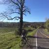 alexanderxenakis - @alexanderxenakis - TikTok