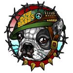 Alex Yap - @thedogsbark - Instagram