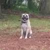 Alex Yepez - @alex.yepez03 - TikTok