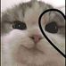 Alex Yum - Facebook
