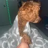 Alexa Avalos - @alexa.avalos077 - TikTok
