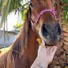Alexa Beals🌅✨️ - @alexa.beals - TikTok