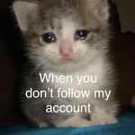 Alexa Beck - @alexa_da_meme_queen - Instagram