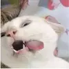 Alexa - @alexa_blue3 - TikTok