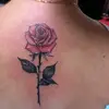 alexablue - @alexablue56 - TikTok