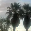 Alexia - @alexa.blue1 - TikTok
