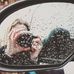 Alexa Branco Photography - Facebook