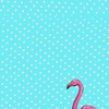 Ale - @alexa_colomba - TikTok